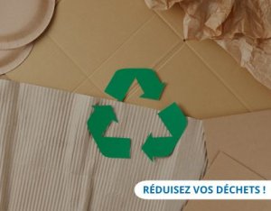 Moins de déchets, plus de performance, découvrez nos solutions durables : la bande gommée, les matelasseurs de carton, les films ultra fins.